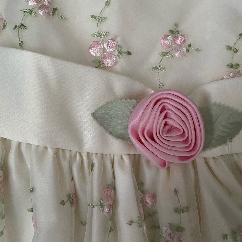 DONATED Cinderella floor length 3T embroidered dress